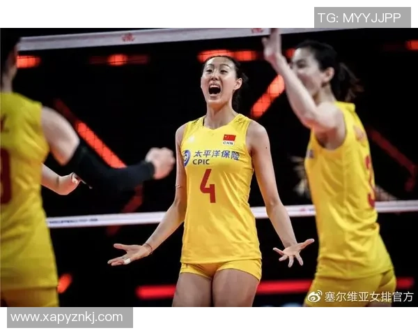 武汉排球队在联赛中的比赛经验与表现分析及其未来发展潜力探讨